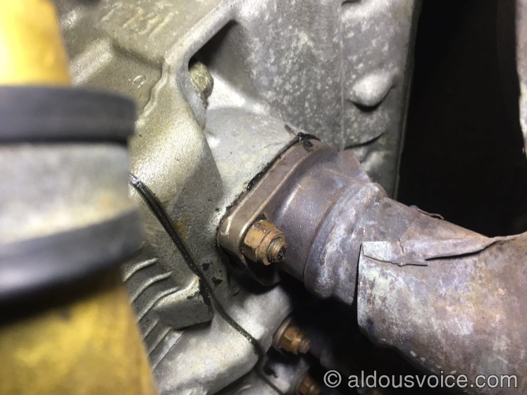 WhatsApp-Image-20160303